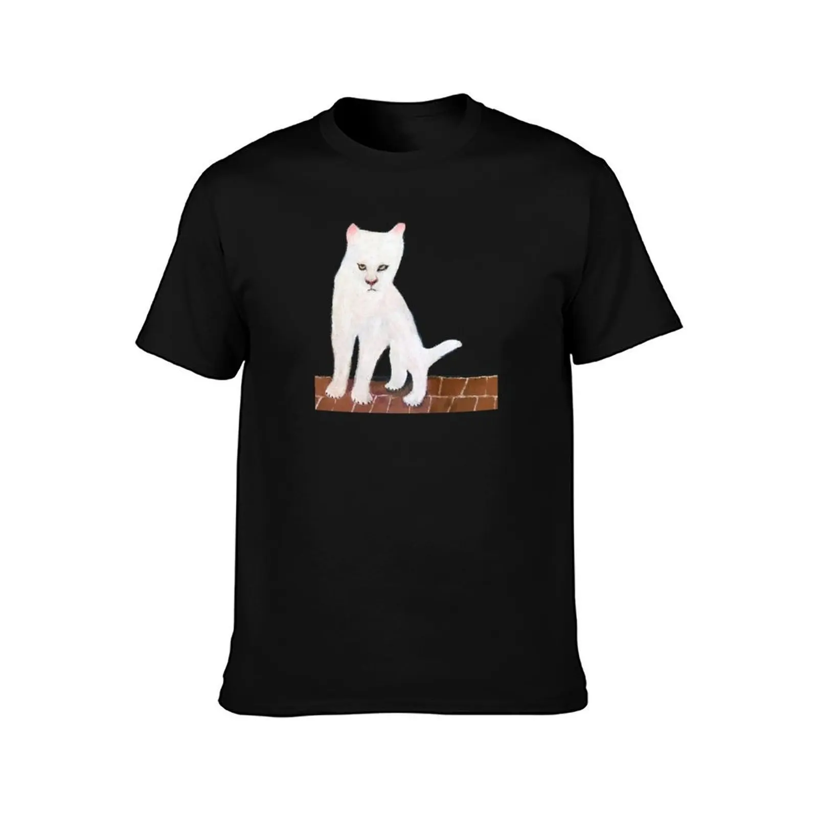 Duster - Duster T-Shirt, Summer Casual Cotton Tee, Oversized Streetwear Tops, Vintage Graphic Print, Loose Fit Short Sleeve