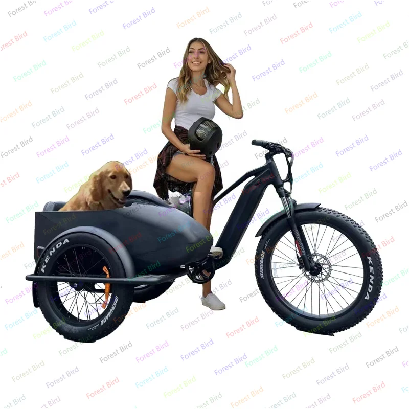 750w ukryta bateria litowa Etrike wózek boczny rower boczny samochód dla dorosłych elektryczny rower trójkołowy 3 koła Ebike elektryczny ładunek