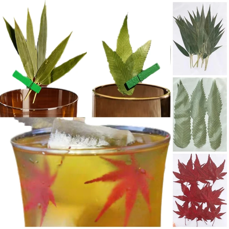 

12pcs Natural Real Dried Leaves Maple Leaf\Willow Leaf\Bamboo leaf for Christmas Making Barware