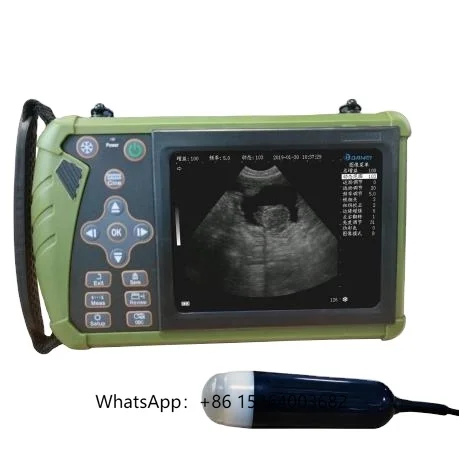 

CE Approved 5.6 Inch LED Player Veterinary Ultrasound Doppler B/W B/M Black and White Ultrasound Scanner for Animal