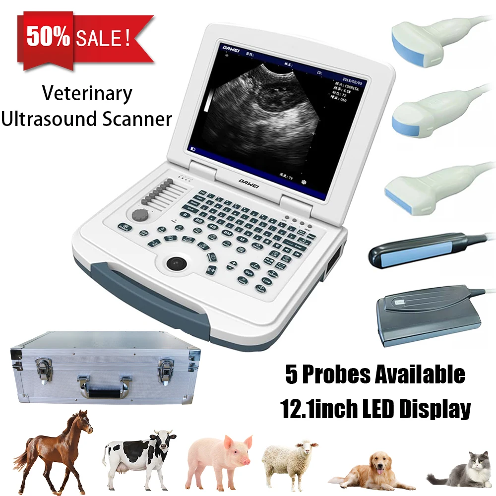 

Portable Veterinary Ultrasound Scanner, Laptop Vet Pregnancy B-Ultra Machine, for Animal Farm Home Pet (B,B+B,4B,B+M,M)