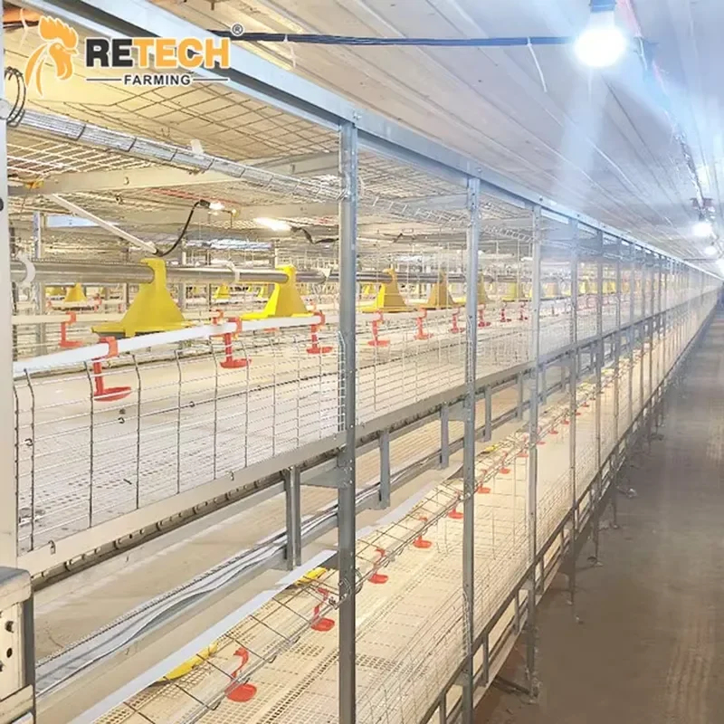 Automatic Multi-layer Chain Type Harvesting Birds Equipment with Poultry Climate Control System for Broiler Farming