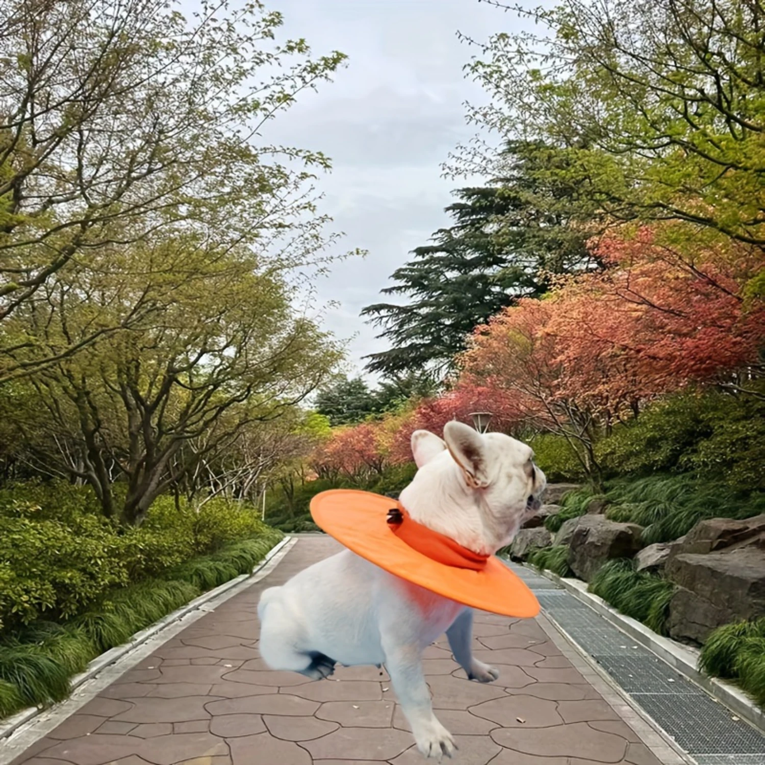 1Pc Orange Comforta…