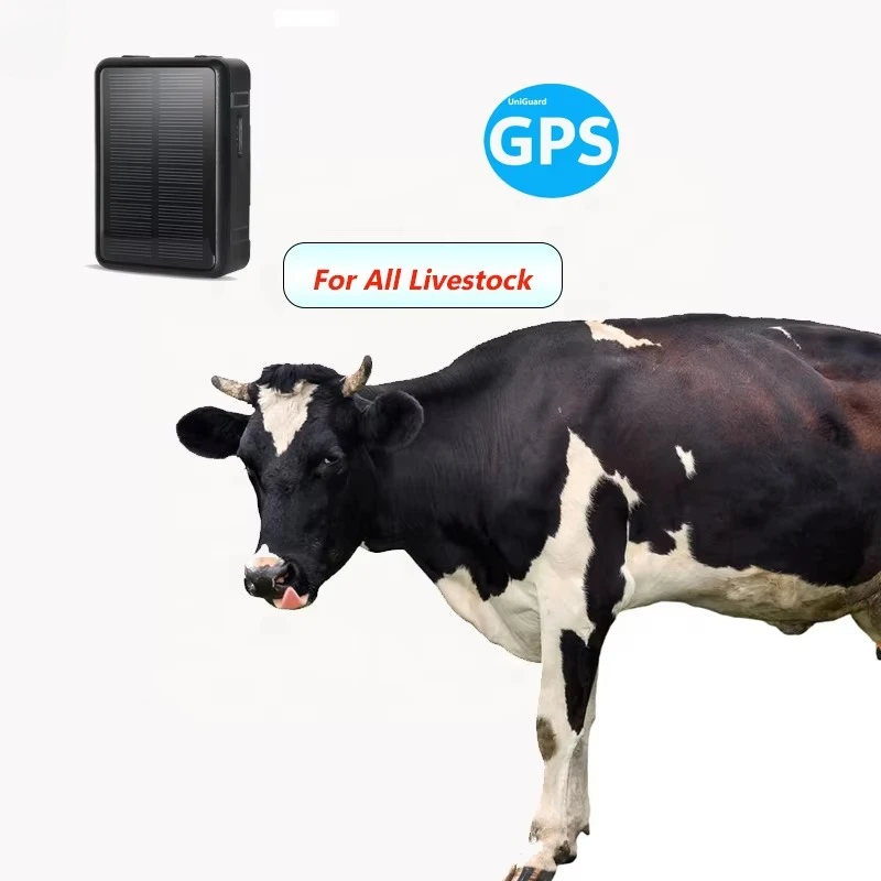 2G Trackers Animals Trailer Tracking Device Waterproof Chip Animal for Cow Sheep Powered Ear Tags Solar Gps Tracker