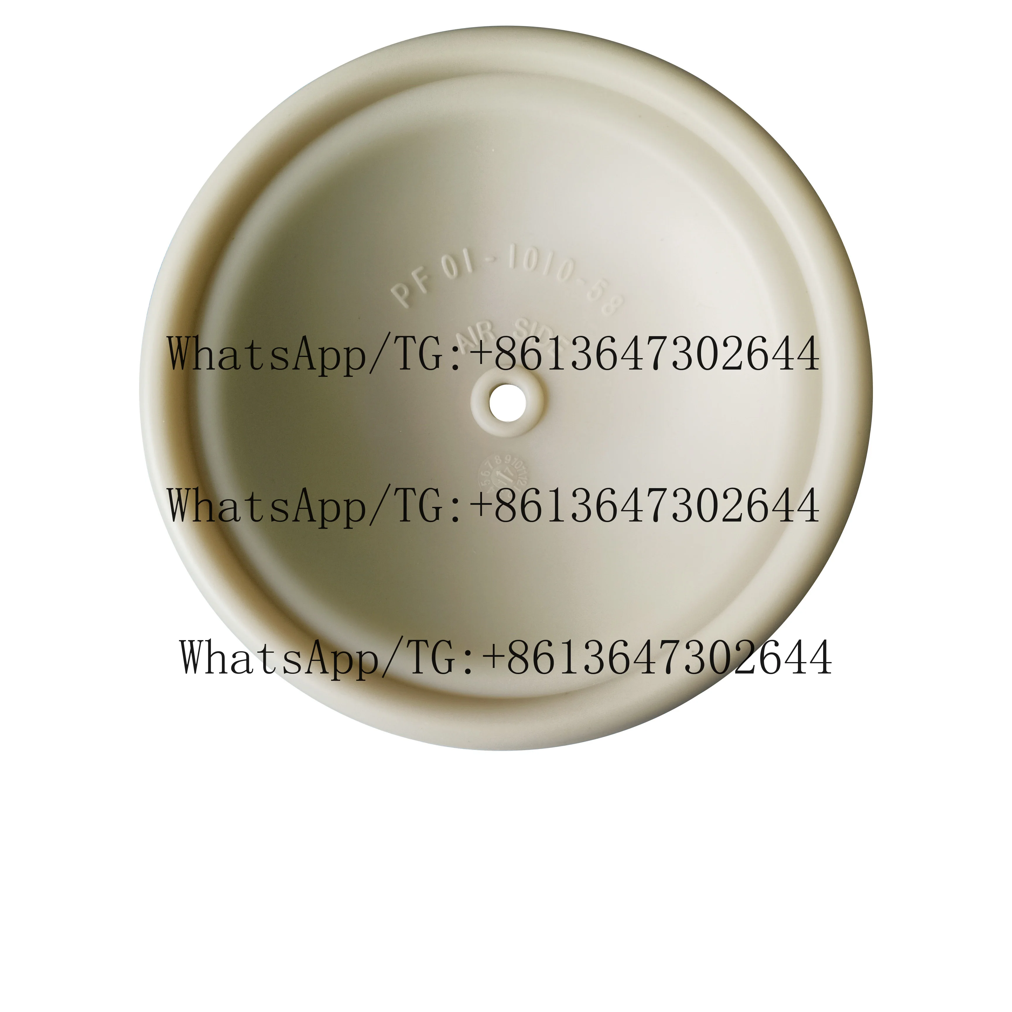 

Rubber Diaphragm 01-1010-58 for Pneumatic Diaphragm Pump Santoprene Diaphragm Customized