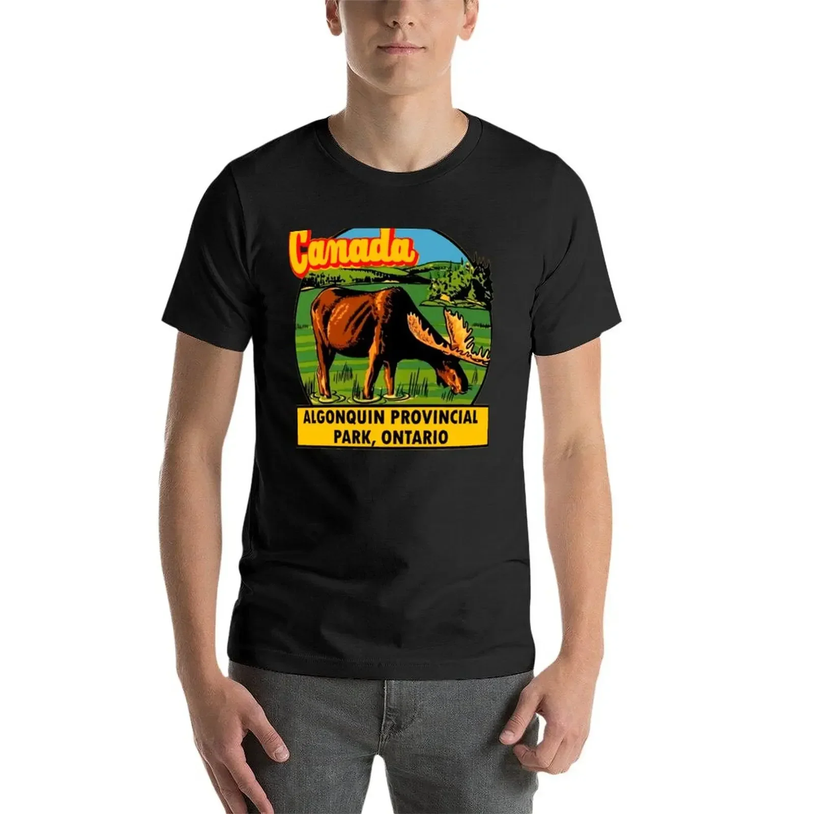 T-shirt con decalcomania da viaggio vintage di Algonquin Provincial Park Ontario, top carini, costanti, disegna le tue magliette vintage da uomo