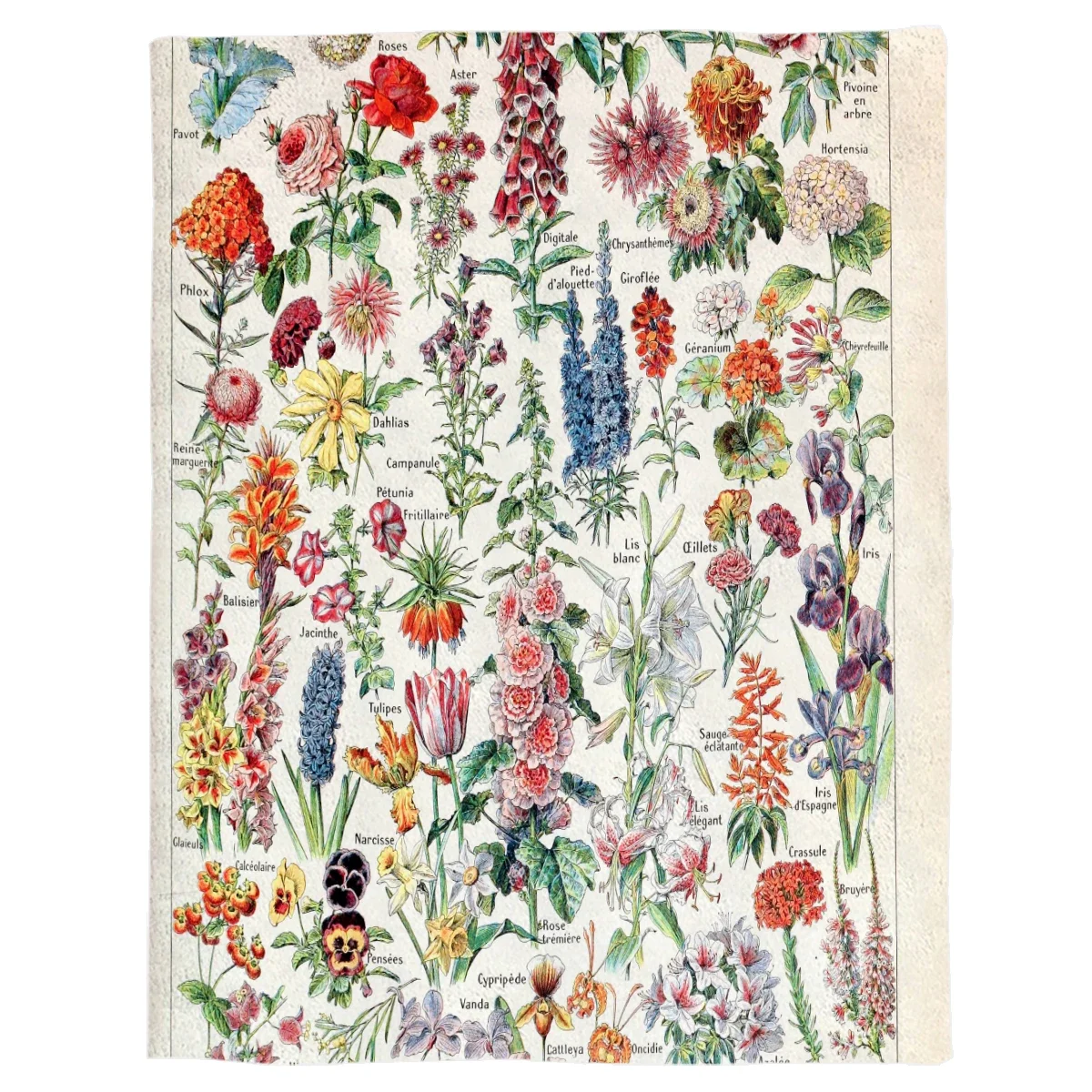 Adolphe Millot Fleurs Pour Tous French Vintage Poster Throw Blanket  Warm Microfiber Blanket Flannel Blanket