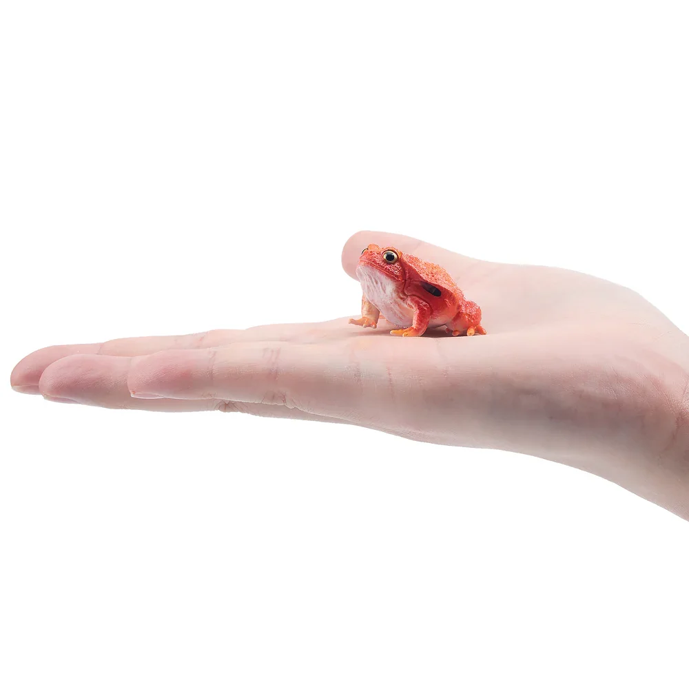 Toymany Simulation Tomato Frog Madagascar Animal Model Toy Mini Figures Dolls Action Figurines Toy Children Gife Cake Decoration