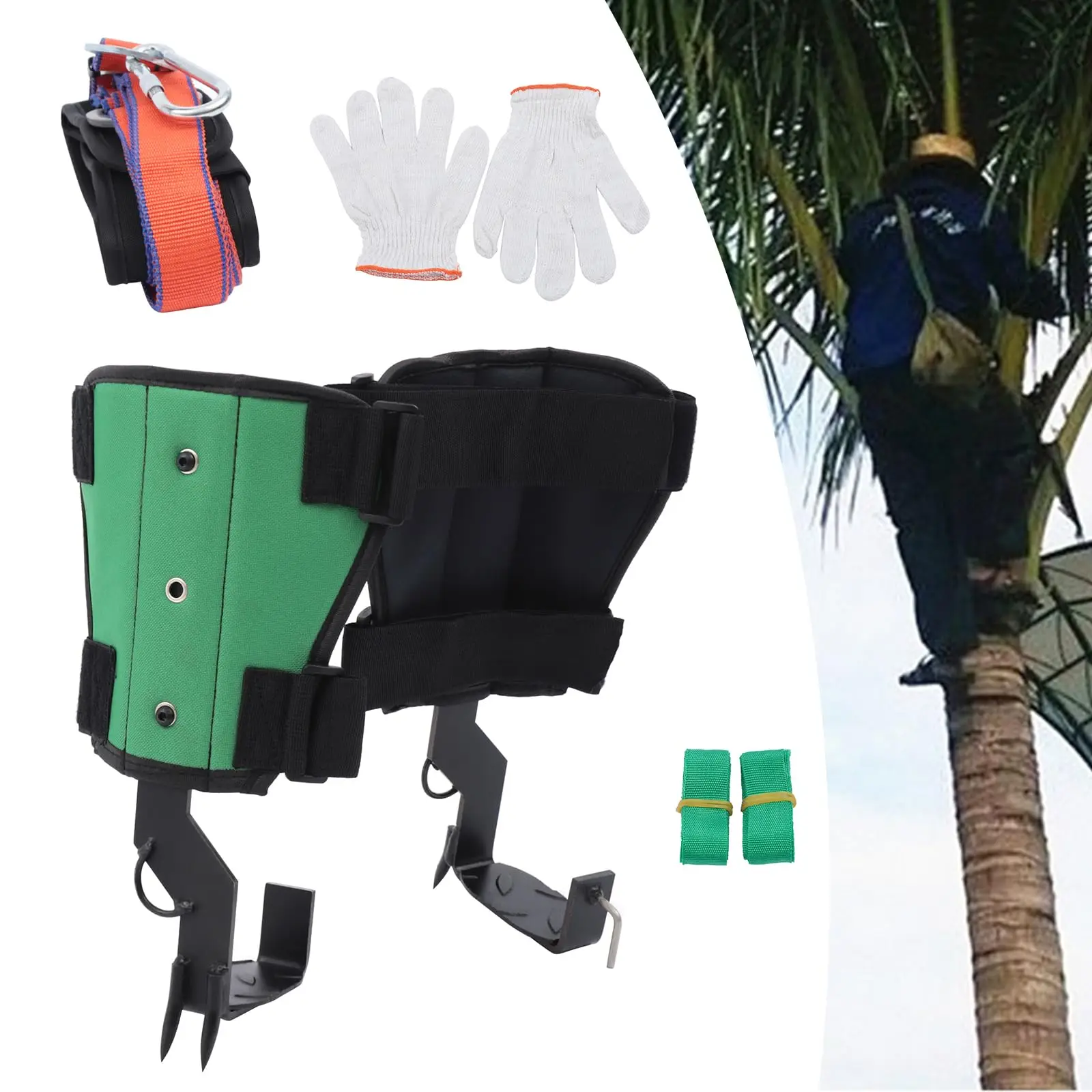 طقم تسلق الأشجار مع حزام أمان، مسامير تسلق القطب الفولاذي، سعة 330 رطل