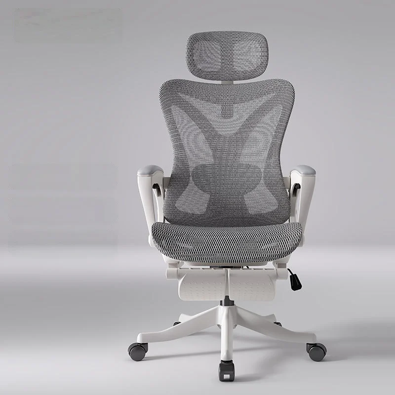 Home Study & Office Ergonomic Computer Chair Back Support Desk Seat for Student Daily Long Sitting Adjustable & Multi-Use