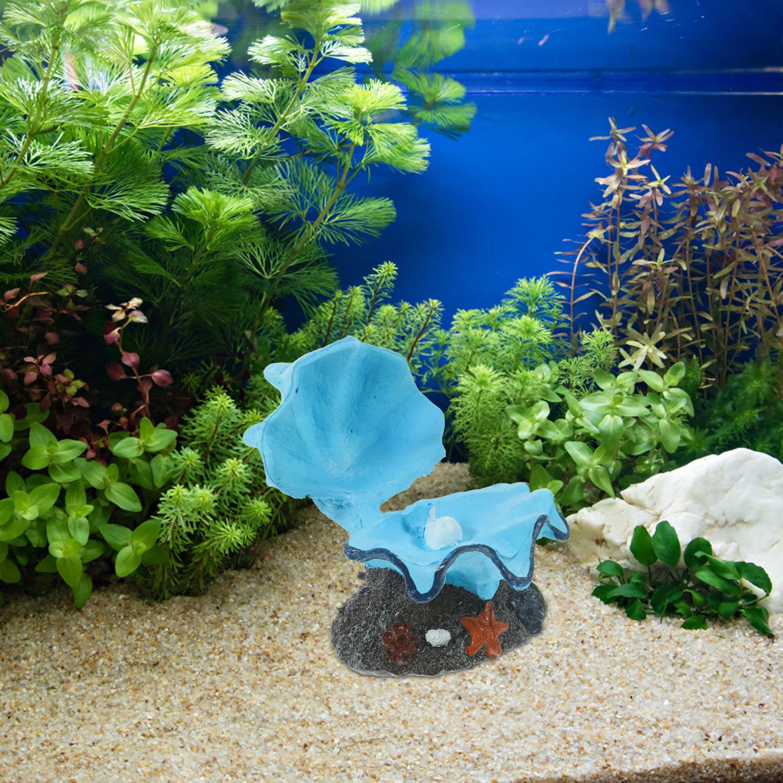 

Tropical Clam Decor Resin Shell Aquarium Bubbler Diffuser for Fish Tank Aeration Vivid Realistic Design Stable Base Small