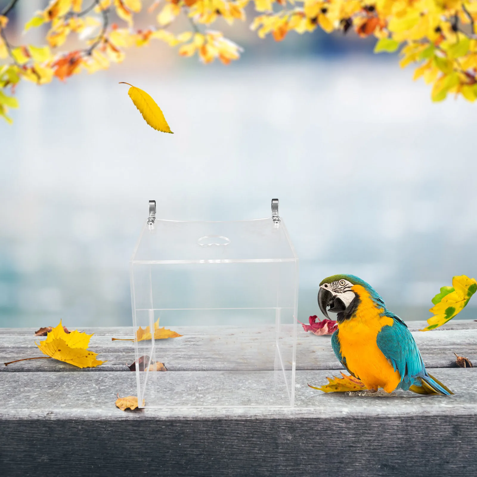 

Подвесной кубик для ванны с попугаями, прозрачный материал, простой в использовании, для домашних животных, для очистки птиц, душевая коробка, ванна для птиц, ванна для попугаев
