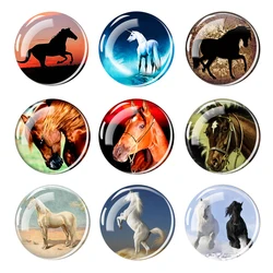 Horse Fridge Magnets Horse Refrigerator Magnet Decorative Cute Pony Magnets for Whiteboard Horse Pattern Locker Magnets