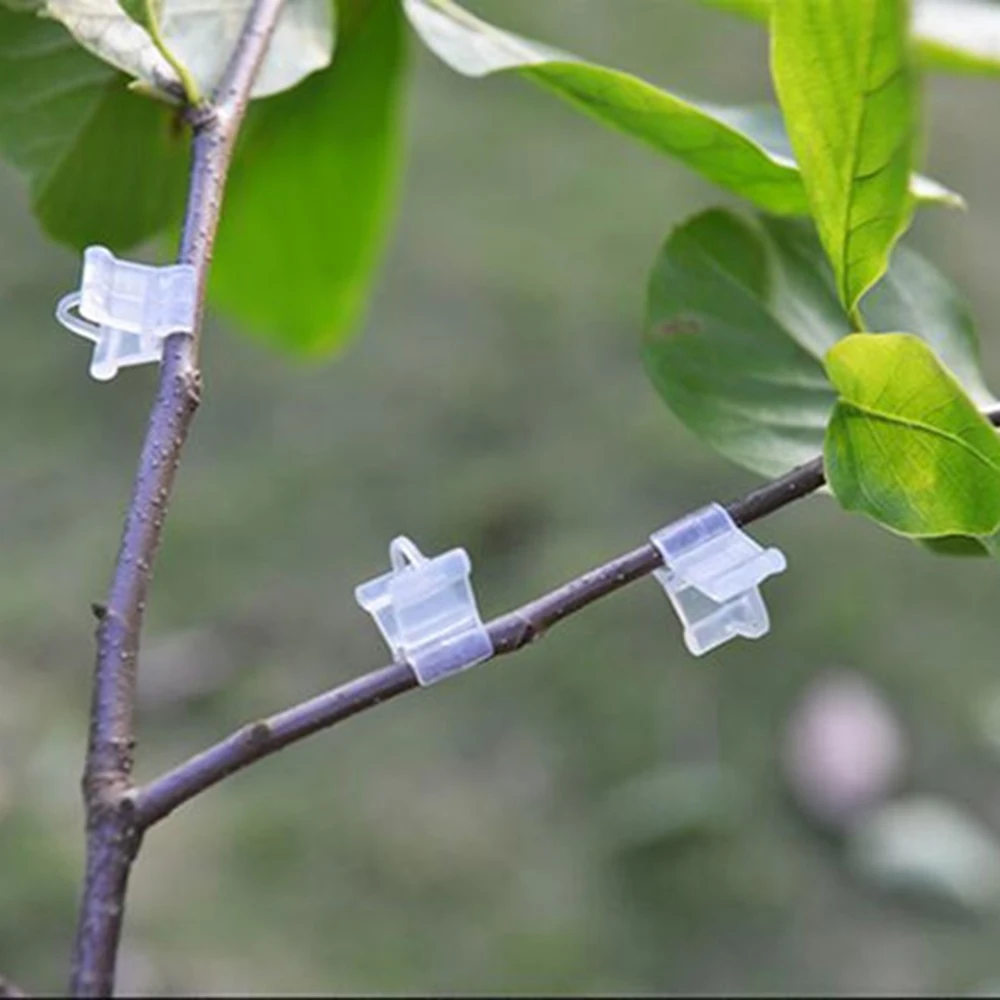 100pcs/Pack Plastic Transparent Grafting Clips Plants Seeding Grafting Clip Tool for Home Garden Vegetable Flower Vine Bushes