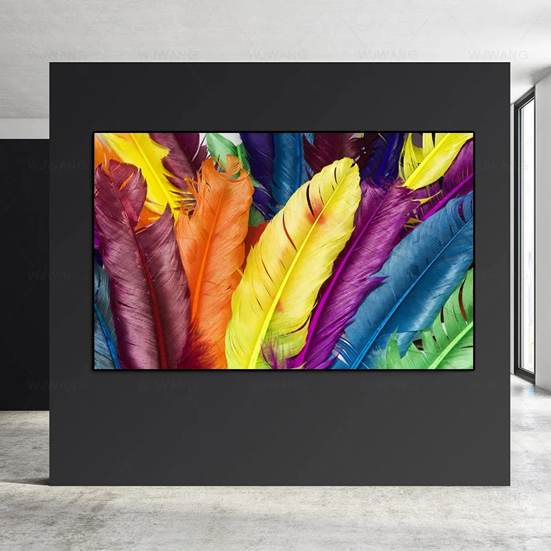 

Colored Feathers Canvas Painting Abstract Poster and Prints Wall Art Decorative Picture Print for Living Room Home Decor Cuadros