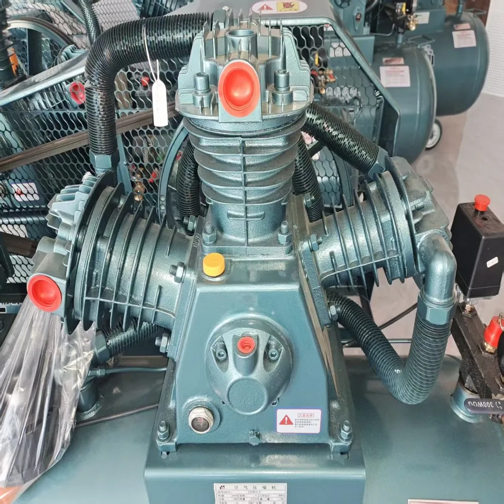 High Quality Air Compressor High Pressure Piston Air Compressor For PET Bottle Blowing Plant For Sale