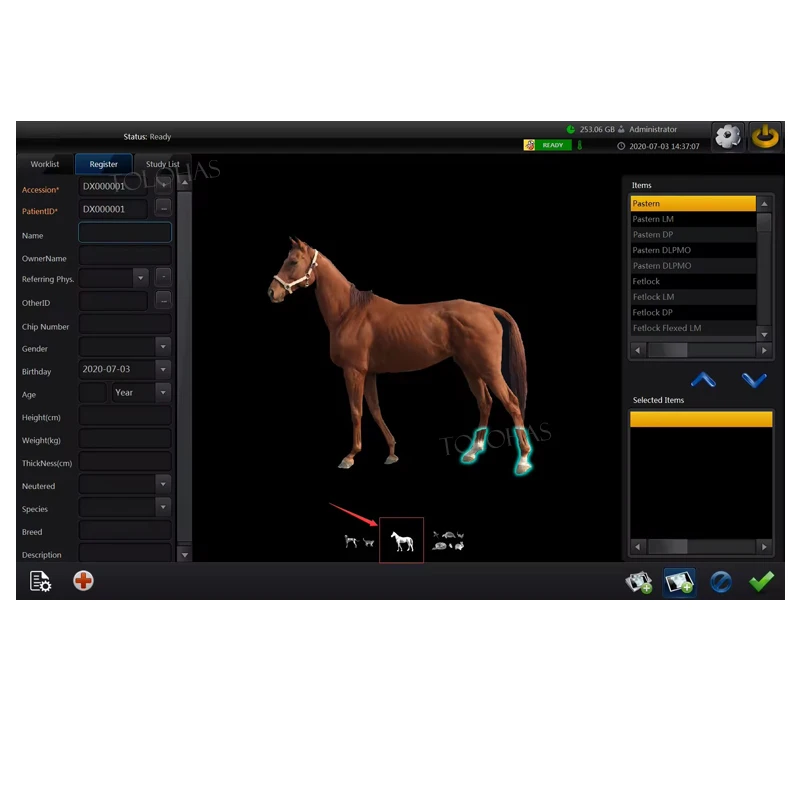 LHWRV80B Veterinaire Digitale Radiologische Beeldvormingssysteem Boerderij Paard Koe Vee Röntgen DR Machine voor Grote Dieren