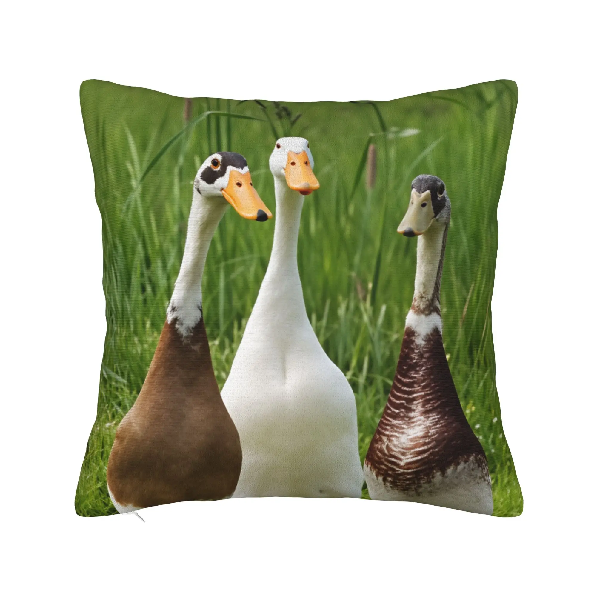 Pillow Case Indian Runner Duck Comfy  Pillow Cover For Sofa Bedroom Home Decor Funny Pillowcases