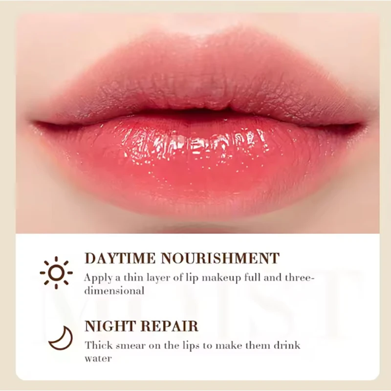 Natural Plant Coconut Lip Balm Lasting Nourishment and Moisture for Men and Women Daily Care Lip Balm Anti-Cracking Skin Care