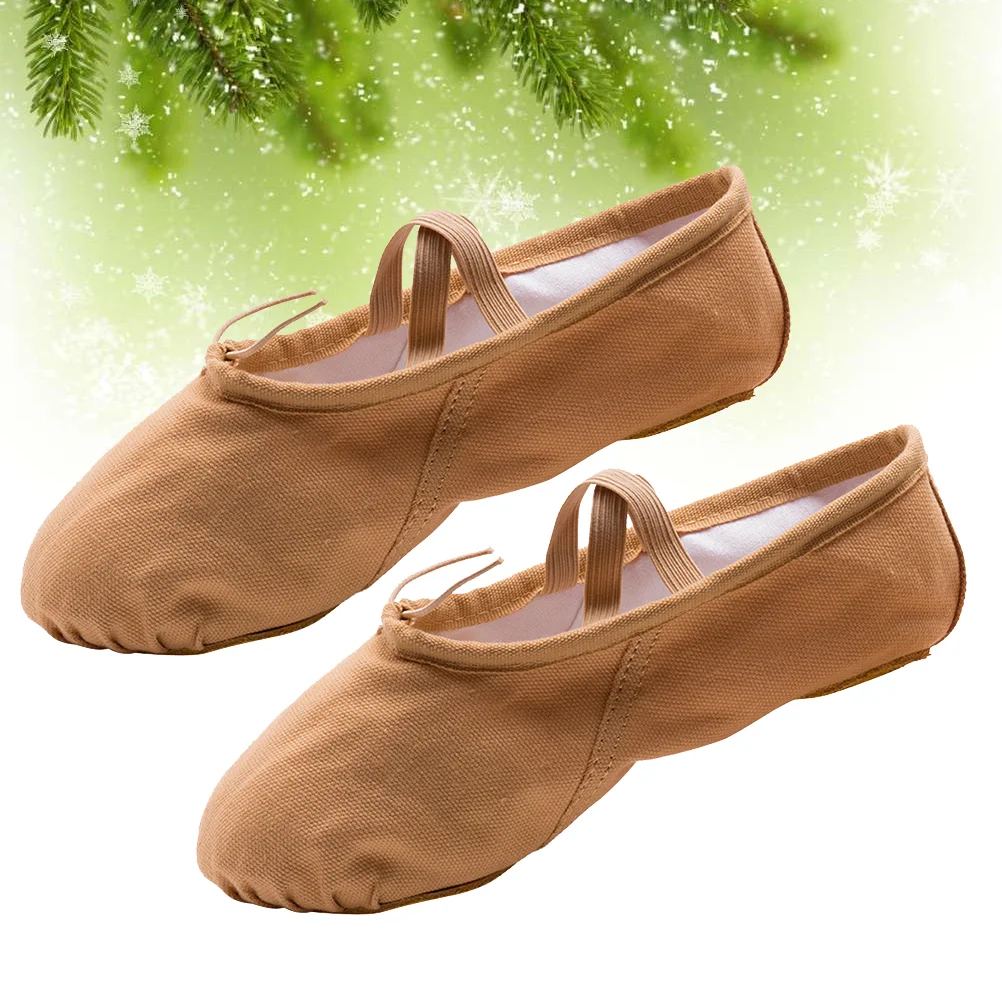 1 Pair Fashion Sole Ballet Shoes Ballet Dance Practice Shoes Yoga Ballet Shoes for Girls Women (Light Brown Size 24 155CM, 95U