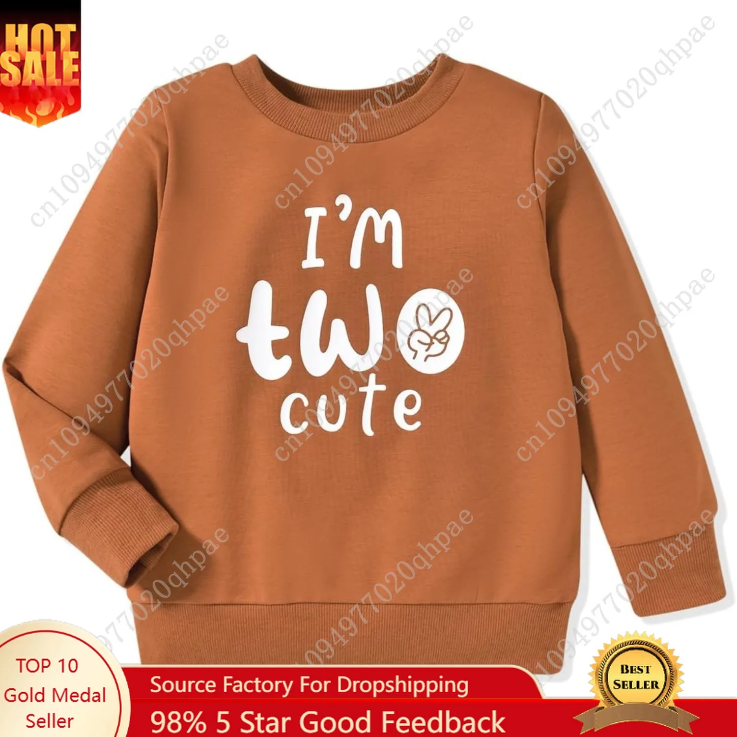 Toddler Boy Birthday Outfit Two/Three/Four/Five/Six Sweatshirt Shirts Birthday Gift