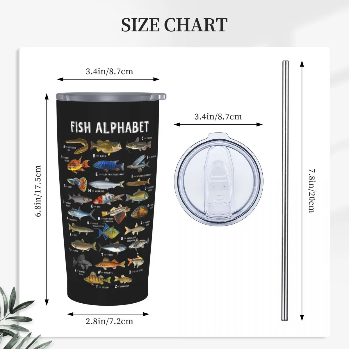 Fish Alphabet Educational Freshwater Species Fishing Stainless Steel  Vacuum Insulated Mug Thermal Cold Bottle Straw With Lid