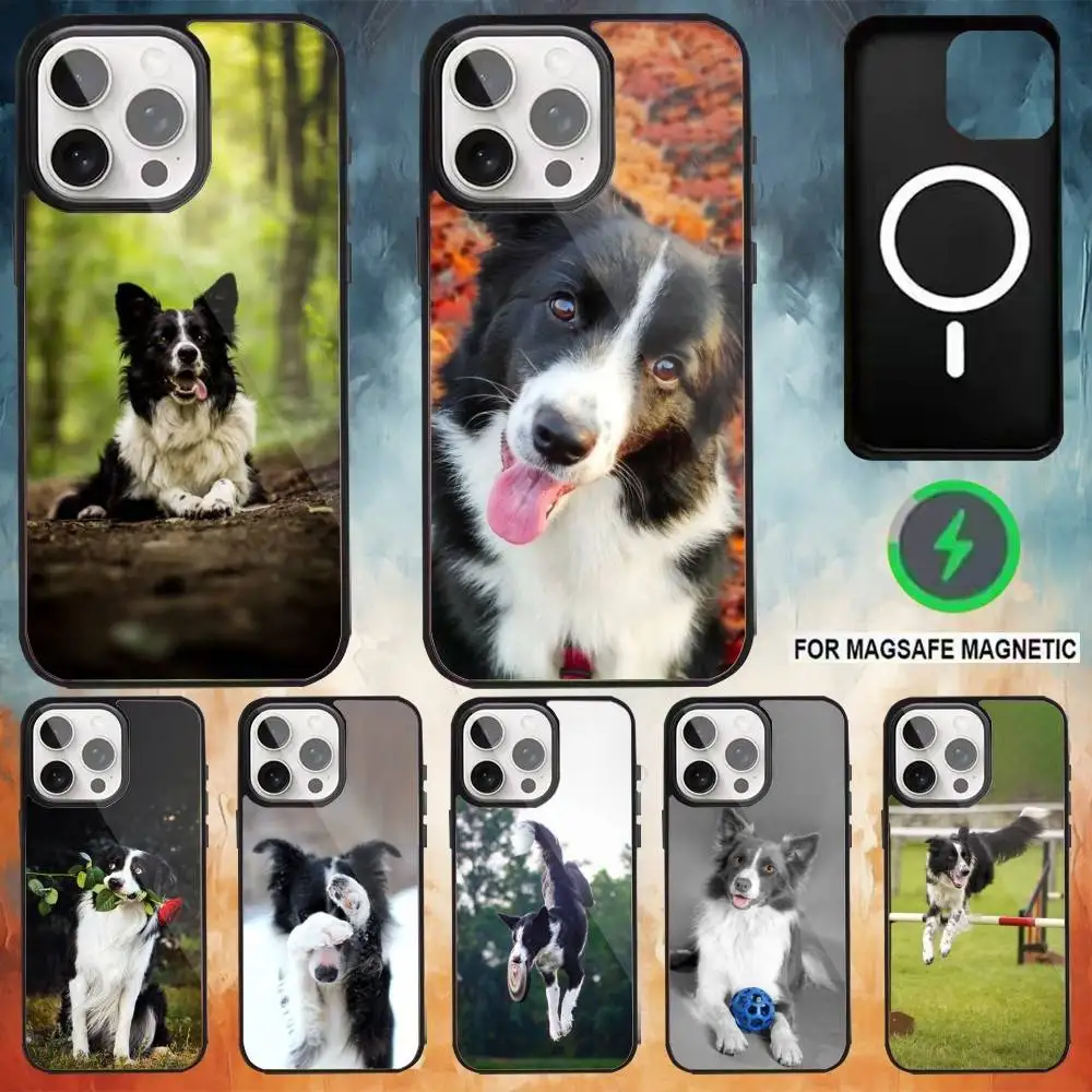 

Border Collie Dog Phone Case For iPhone 17,16,15,14,13,12,Plus,Pro,Max For Magsafe Magnetic Wireless Charge