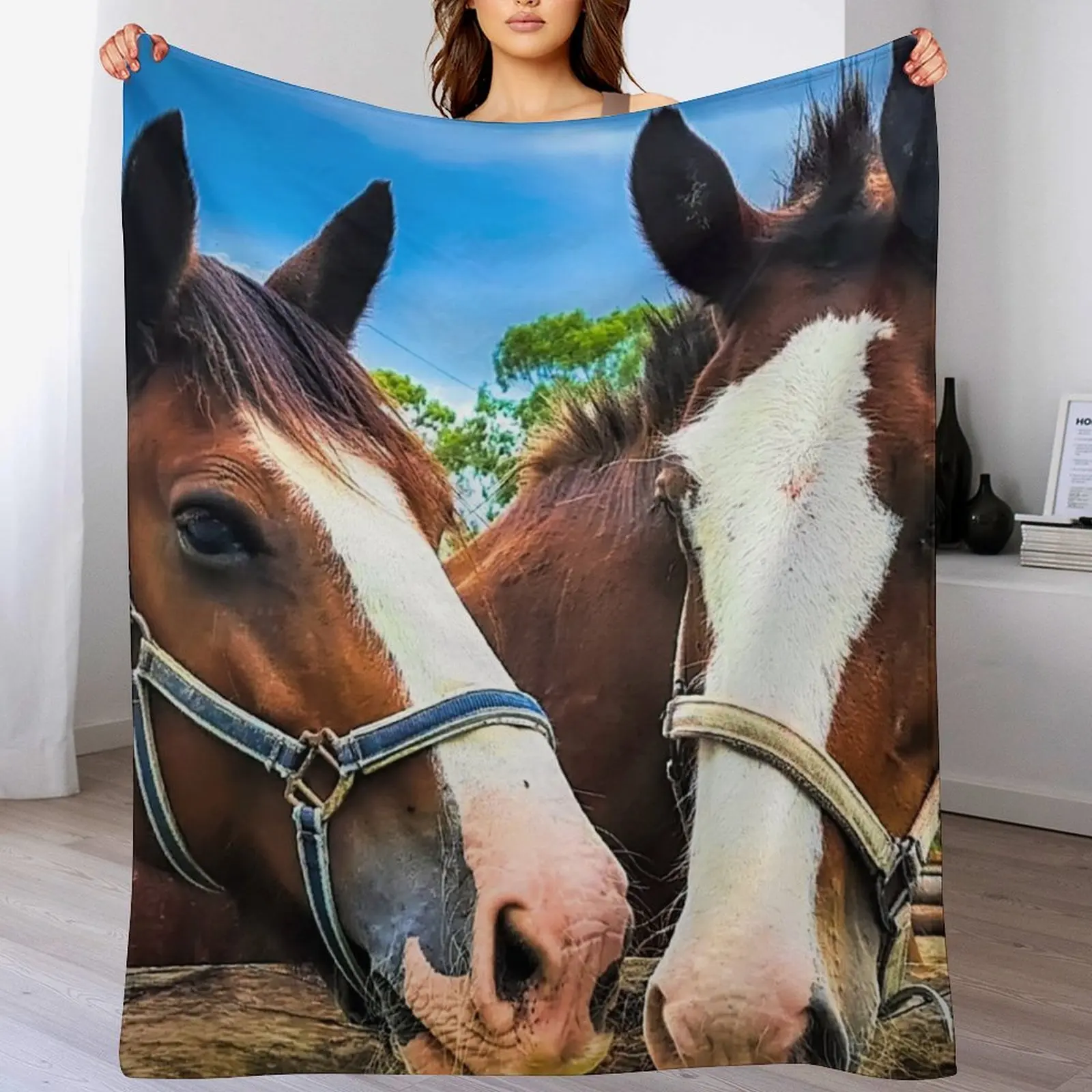 

Clydesdales Posing Throw Blanket Hairy Thins Blankets