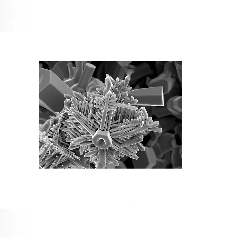 Snowflake under Scanning Electron Microscope Art Photo, Art Print Canvas Poster, Living Room Decor, Home Wall Picture