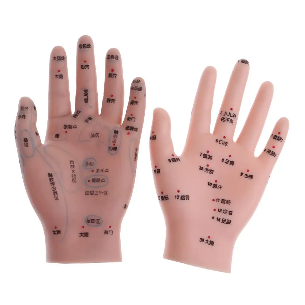 

14cm Message Acupuncture Hand Model Reflexology Acupoint School Study Display