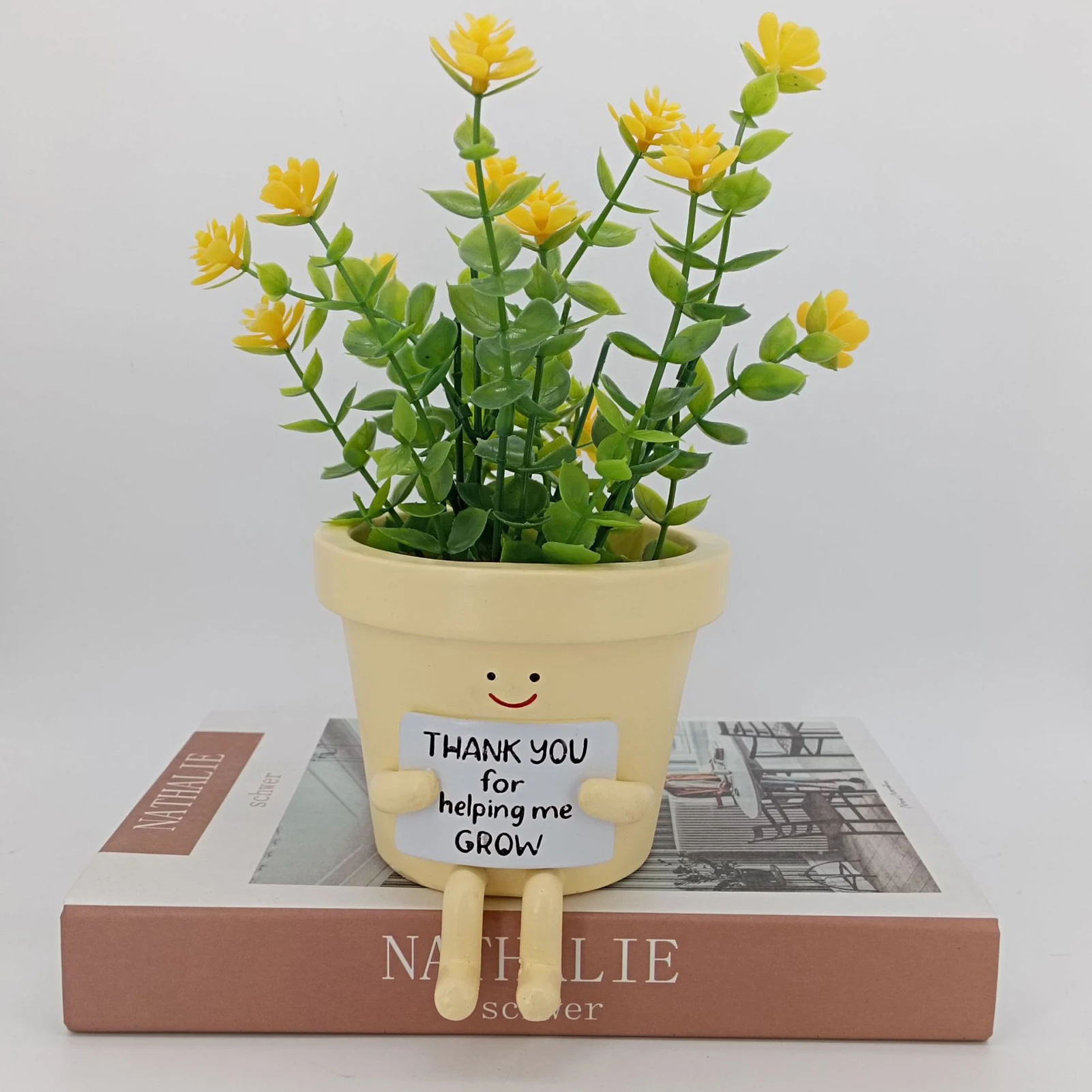 Desktop Resin Vase Ornaments Creative Promote Healthy Growth Planter for Home Apartment Office Decor DO