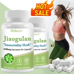 Jiaogulan  Antioxidants, Metabolism, Mitochondrial Support, Energy Levels, Focus