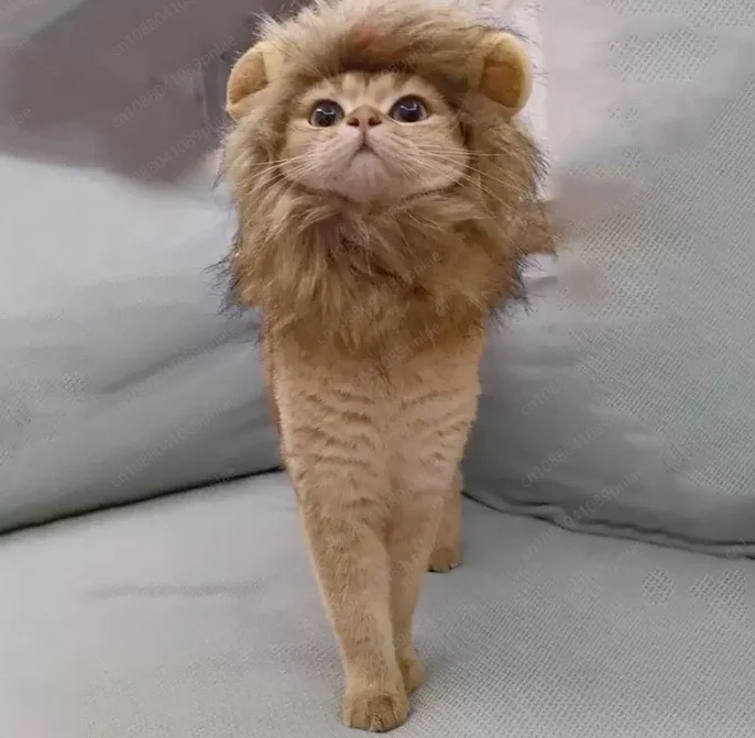 

Костюм для кошек и собак: головной убор с ушками кролика и головой льва, забавный наряд для маленьких питомцев