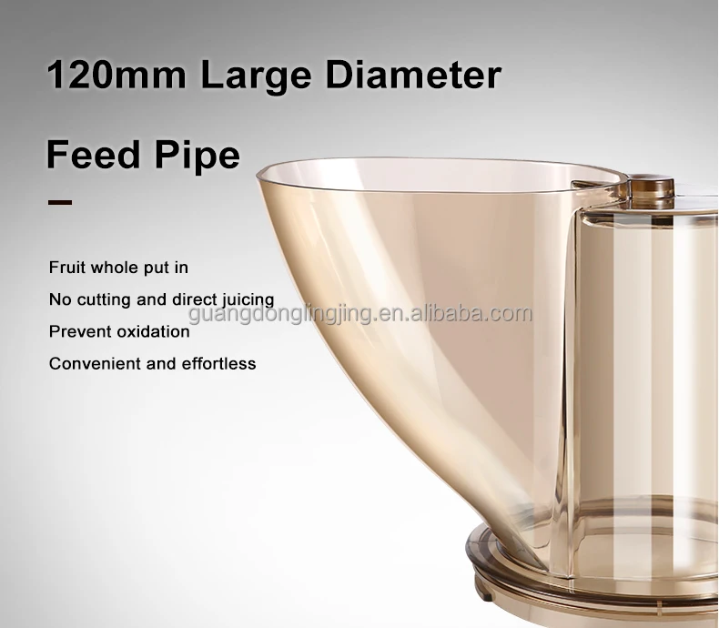 1200W Stainless Steel No Need Cutting Auto Feeding Big Mouth Inlet Cold Press Slow Juicer Machine For Commercial