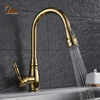 ZGRK Modern Faucet Kitchen Solid Brass Kitchen Mixer With Filter 360° Rotate Kitchen Faucets With Pull Down Sprayer Sink Mixer