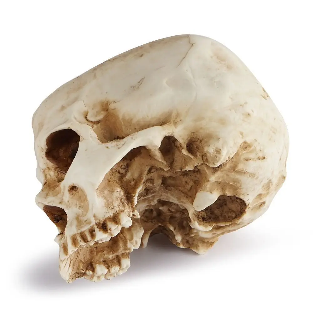 Resin Containers For Home Decor Skull Head Flower Office Sugar Candy Bowl Skull Flower Pot Fake Skull Skull Planter