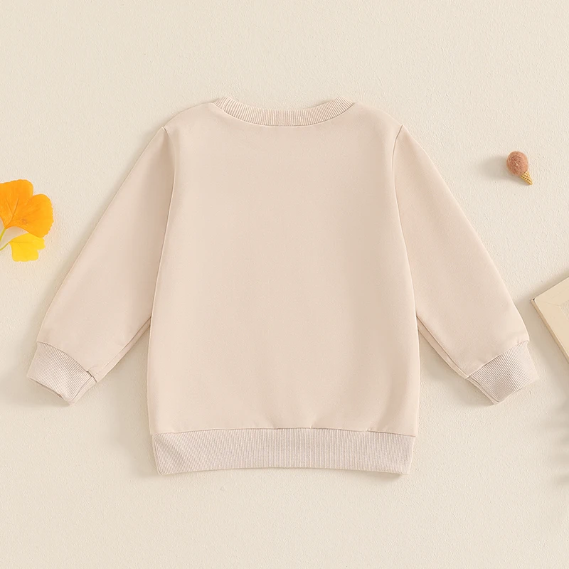 2024-06-13 Lioraitiin 1-5Y Autumn Toddler Kids Boys Sweatshirt Long Sleeve Crew Neck Letters Print Pullover Tops