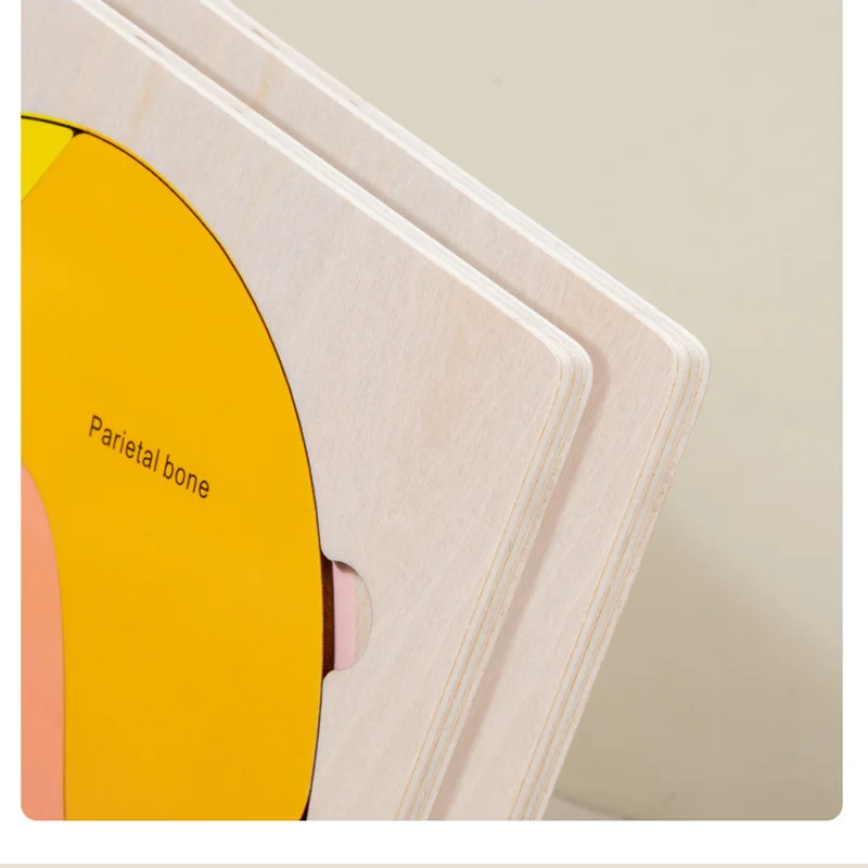 Quebra-cabeça de estrutura cerebral de 3 camadas para crianças, brinquedos educativos de aprendizagem, madeira montessori, materiais de biologia, jogo de coordenação mão-olho