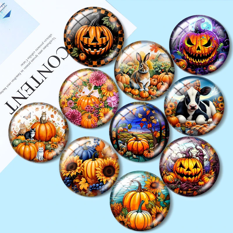 

Autumn Orange Pumpkins Floral mixed 12mm/18mm/20mm/25mm Round photo glass cabochon demo flat back Making findings