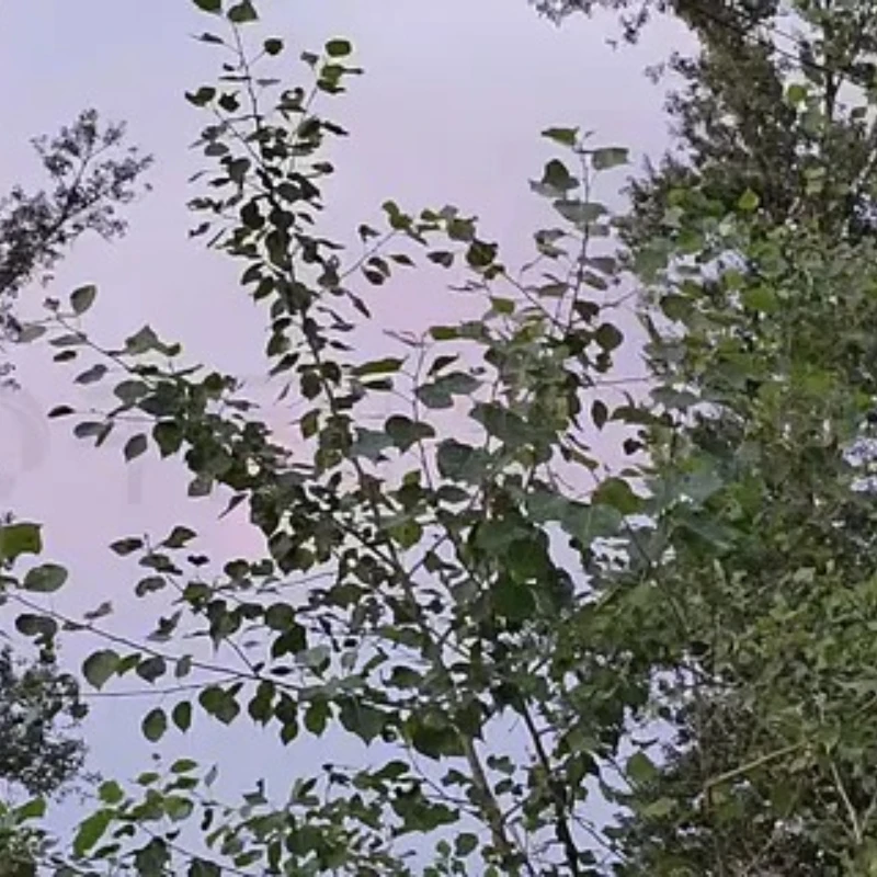 

GEPRC GEP-F722-BT-HD V3 Flight Controller 3-6S LiPo 36.9×36.9mm ICM42688-P For Remote Control FPV Racing Drone