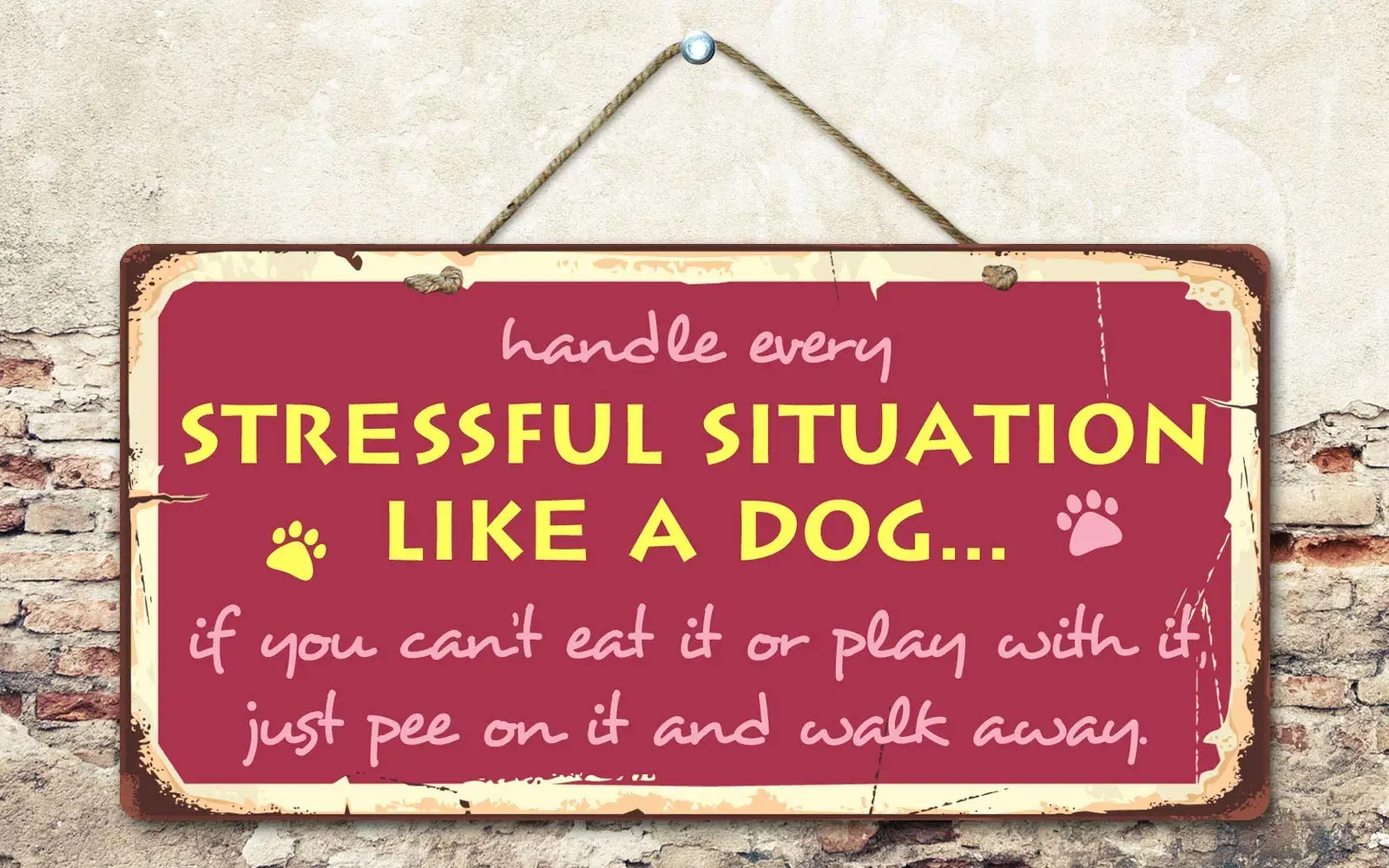 Deerts 1825HS Handle Every Stressful Situation Like A Dog 5