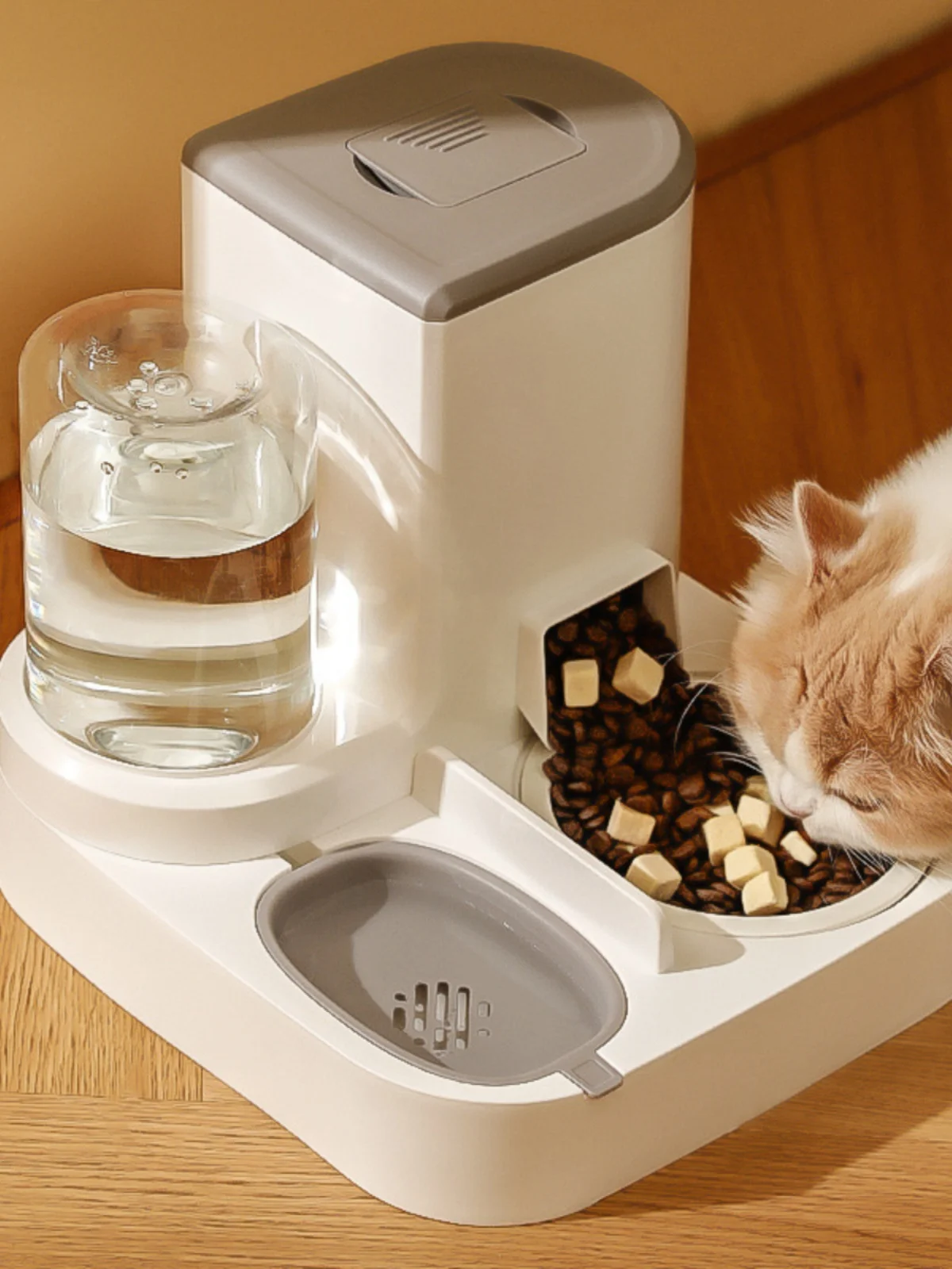 

Cat water feeder feeding two in one