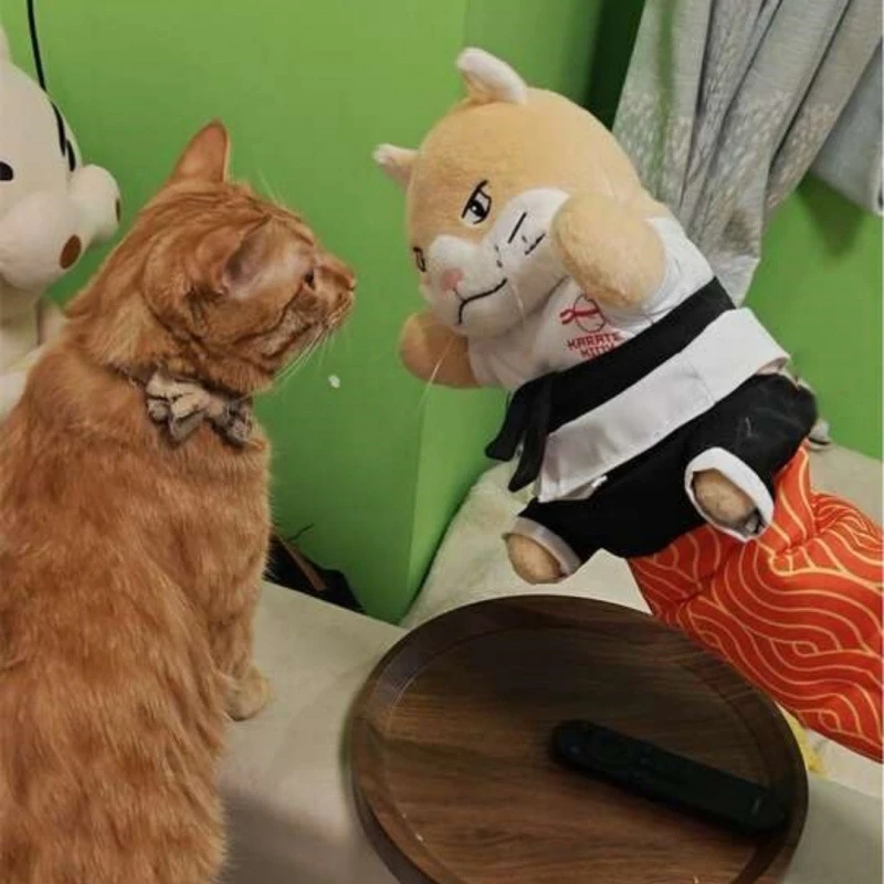 Kat Karate Kitty Marionet Boksspeelgoed Met Arm Mouw Voor Speels Huisdier Spelen Thuis Leuk Voor Kinderen Tieners Kattenliefhebbers Leuk Halloween Cadeau