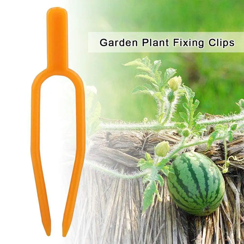 50pcs Garden Plastic Strawberry Watermelon Planting Fastening Stolon Climbing Stem 5cm/6.5cm Frame Plant Fixator Fork Clamp F2C9