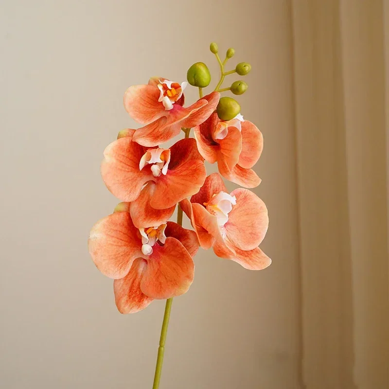 5 Köpfe, einzelner Stiel, realistische Phalaenopsis – 3D-Seiden-Schmetterlingsorchidee für Wohnzimmer, Event-Dekoration, Geschenk | Künstliche Blume – Detail 5