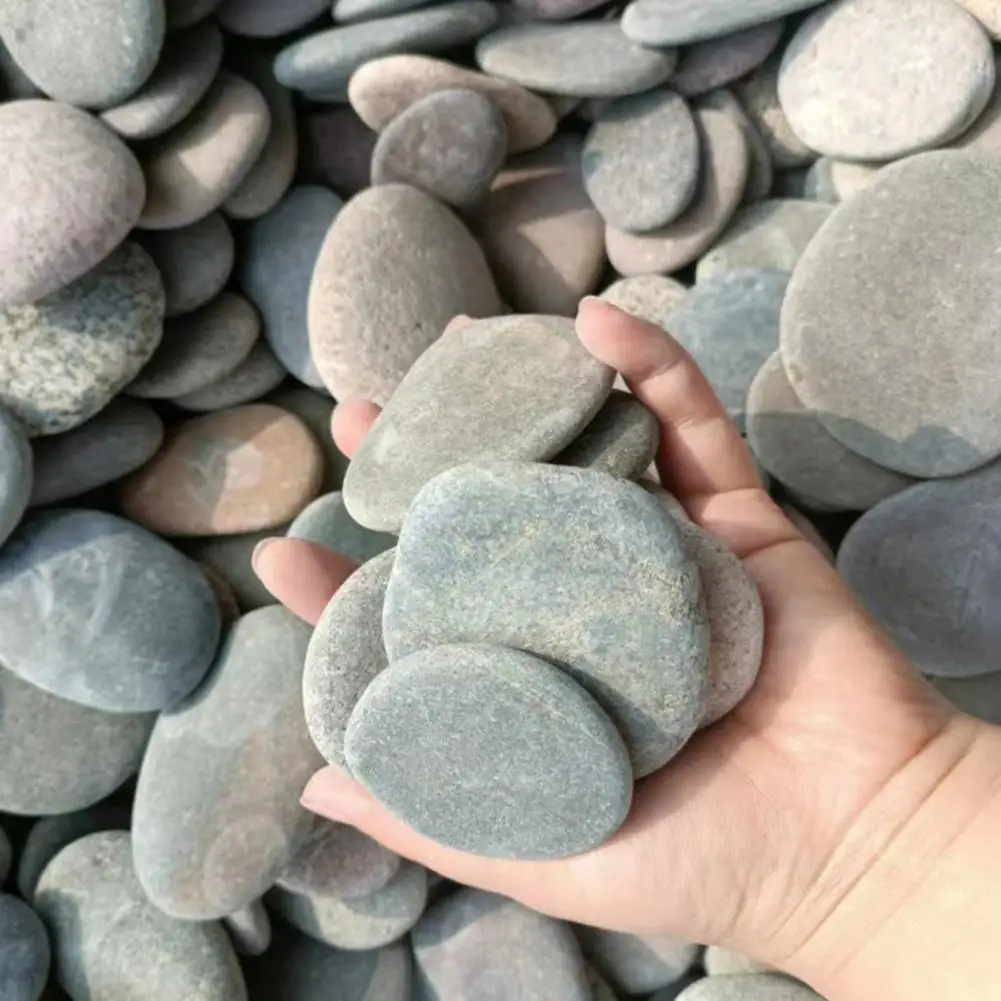 Flat Smooth Pebbles Art ภาพวาด River Rocks หินธรรมชาติสําหรับงานฝีมือ DIY Painted Pebbles อุปกรณ์ศิลปะตกแต่งสวน