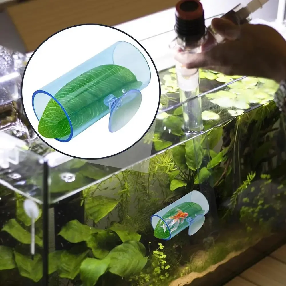 1 adet Akvaryum Betta Balık Ak - Live Plant Aquarium incelemesi ve fiyatı