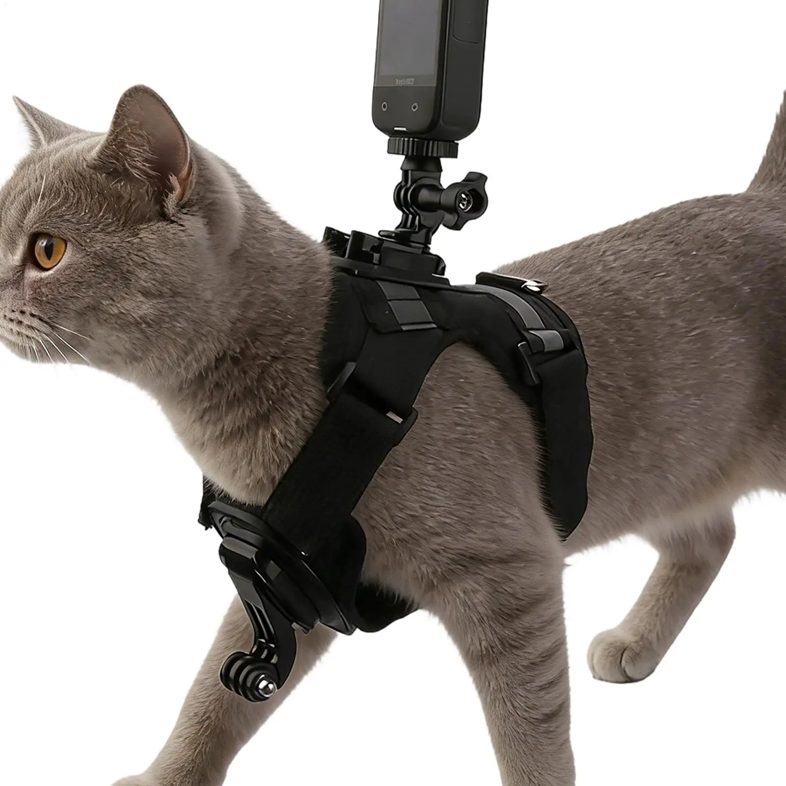 

Регулируемая шлейка-жилетка для кошек с креплением для экшн-камеры, для котят, для использования в помещении, на улице, для походов и прогулок