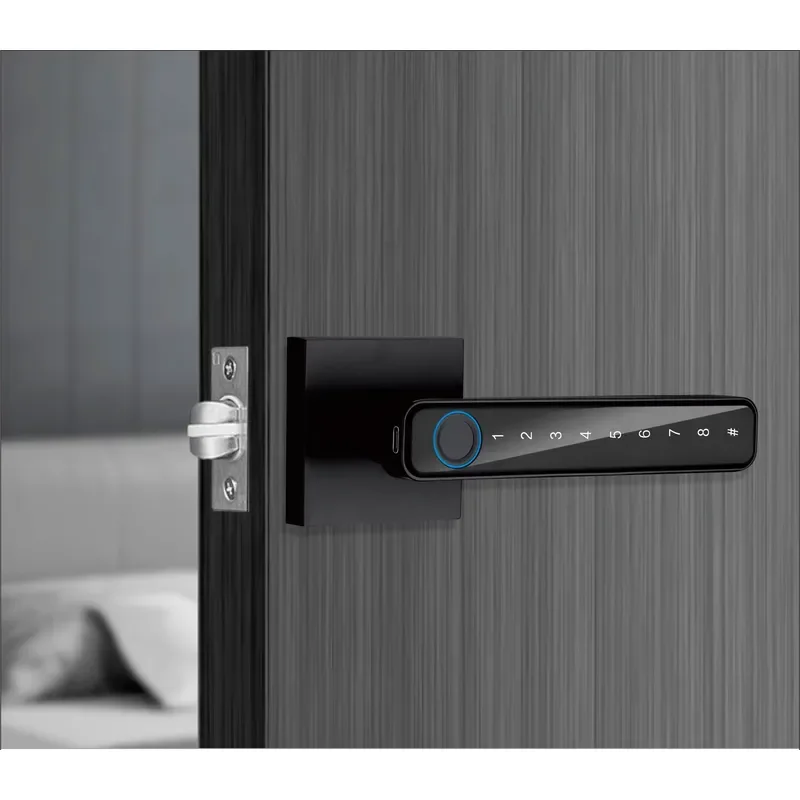 High Quality Touch Screen Fingerprint Password Key Smart Home TT APP Door with Memory Card Data Storage
