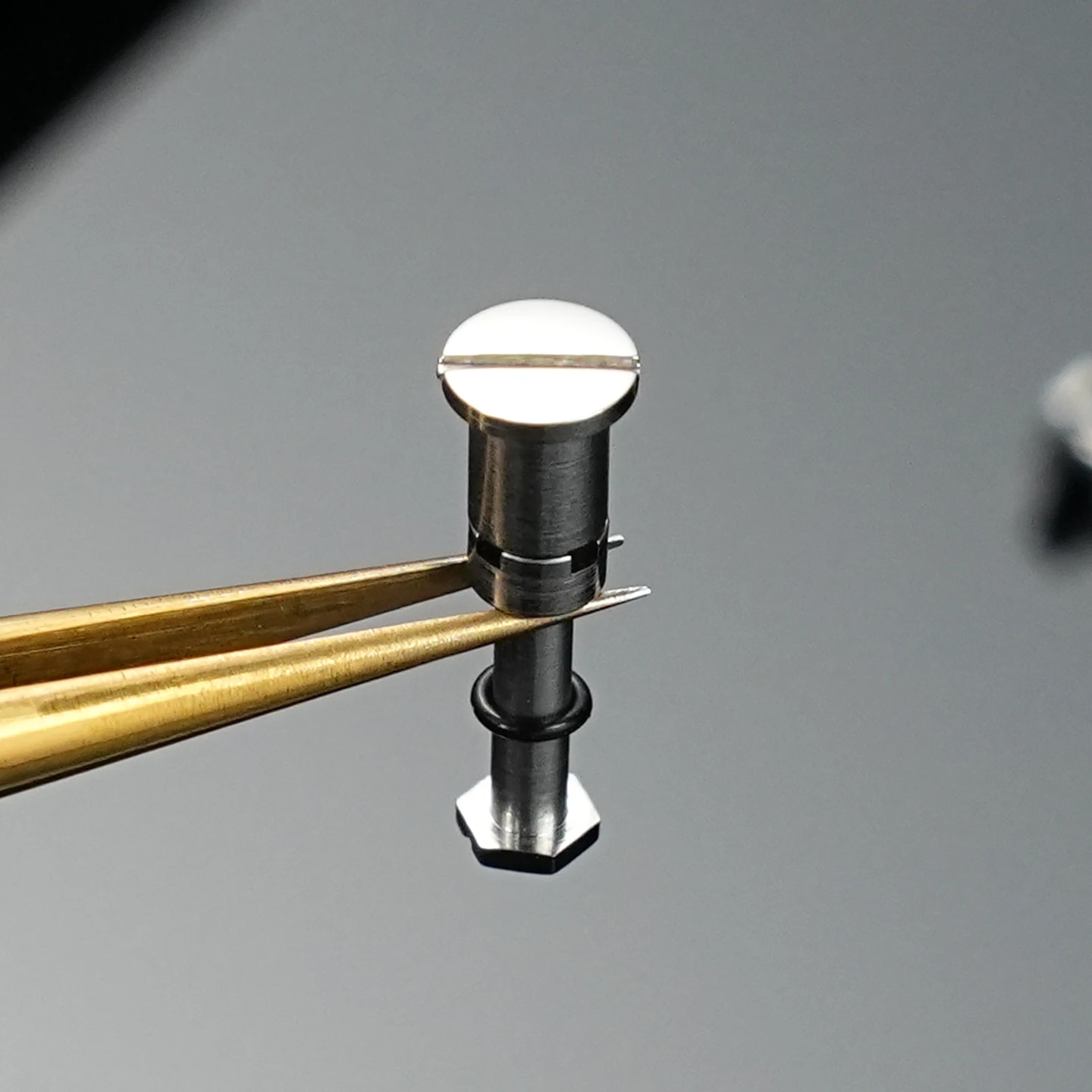 Stainless steel screws for AP - Audemars Piguet Watch Royal Oak review and price